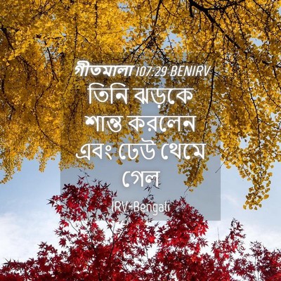 Picture 04 - গীতমালা 107:29 BENIRV - তিনি ঝড়কে শান্ত - Bible Verse Picture
