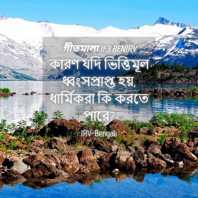 Picture 04 - গীতমালা 11:3 BENIRV - কারণ যদি - Bible Verse Picture