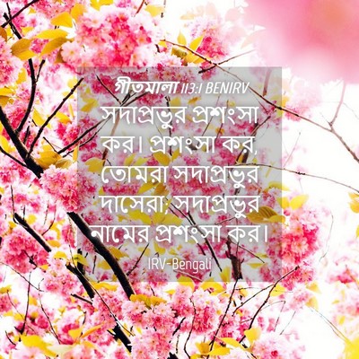 Picture 04 - গীতমালা 113:1 BENIRV - সদাপ্রভুুর - Bible Verse Picture
