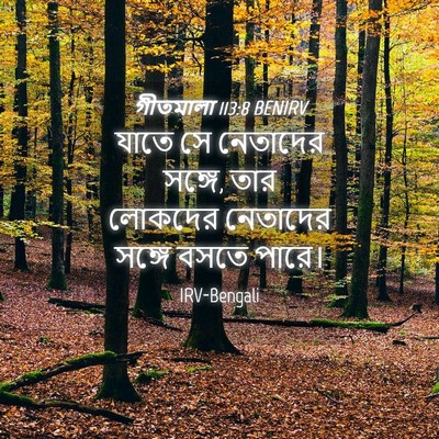 Picture 04 - গীতমালা 113:8 BENIRV - যাতে সে নেতাদের - Bible Verse Picture
