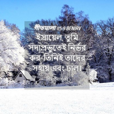 Picture 04 - গীতমালা 115:9 BENIRV - ইস্রায়েল, তুমি - Bible Verse Picture