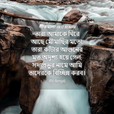 Picture 04 - গীতমালা 118:12 BENIRV - তারা আমাকে ঘিরে - Bible Verse Picture