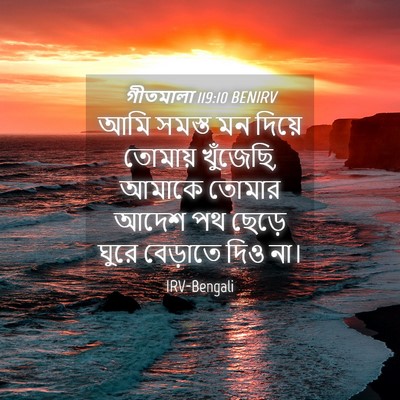 Picture 04 - গীতমালা 119:10 BENIRV - আমি সমস্ত মন দিয়ে - Bible Verse Picture