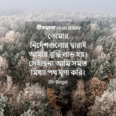 Picture 04 - গীতমালা 119:104 BENIRV - তোমার - Bible Verse Picture