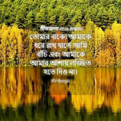 Picture 04 - গীতমালা 119:116 BENIRV - তোমার বাক্যে - Bible Verse Picture