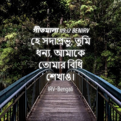 Picture 04 - গীতমালা 119:12 BENIRV - হে সদাপ্রভুু; তুমি - Bible Verse Picture
