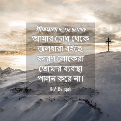 Picture 04 - গীতমালা 119:136 BENIRV - আমার চোখ থেকে - Bible Verse Picture