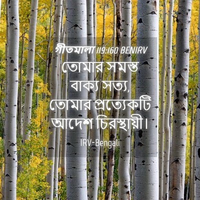 Picture 04 - গীতমালা 119:160 BENIRV - তোমার সমস্ত বাক্য - Bible Verse Picture