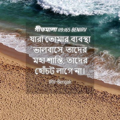Picture 04 - গীতমালা 119:165 BENIRV - যারা তোমার - Bible Verse Picture