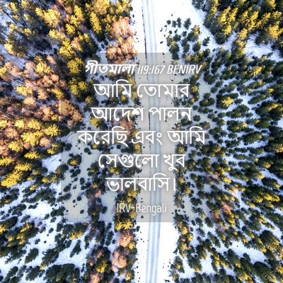Picture 04 - গীতমালা 119:167 BENIRV - আমি তোমার আদেশ - Bible Verse Picture