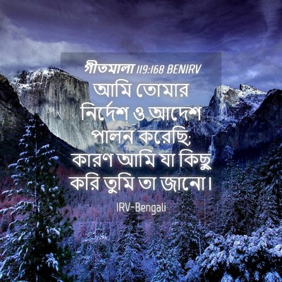 Picture 04 - গীতমালা 119:168 BENIRV - আমি তোমার নির্দেশ - Bible Verse Picture