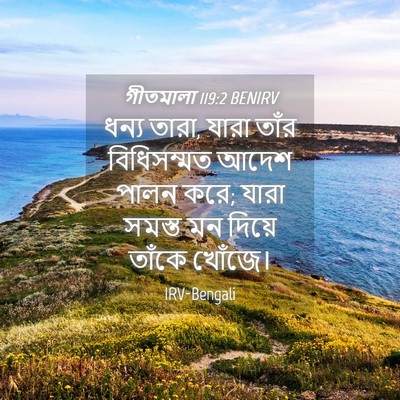Picture 04 - গীতমালা 119:2 BENIRV - ধন্য তারা, যারা - Bible Verse Picture