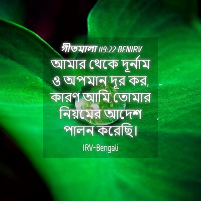 Picture 04 - গীতমালা 119:22 BENIRV - আমার থেকে দূর্নাম - Bible Verse Picture