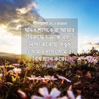 Picture 04 - গীতমালা 119:23 BENIRV - যদিও শাসকেরা আমার - Bible Verse Picture