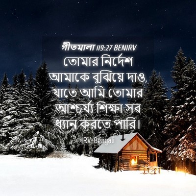 Picture 04 - গীতমালা 119:27 BENIRV - তোমার নির্দেশ - Bible Verse Picture