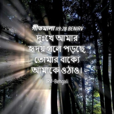 Picture 04 - গীতমালা 119:28 BENIRV - দুঃখে আমার হৃদয় - Bible Verse Picture