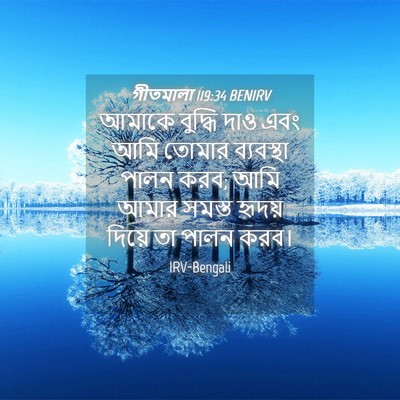 Picture 04 - গীতমালা 119:34 BENIRV - আমাকে বুদ্ধি দাও - Bible Verse Picture