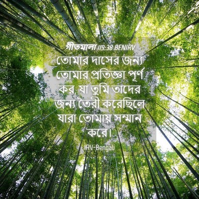 Picture 04 - গীতমালা 119:38 BENIRV - তোমার দাসের জন্য - Bible Verse Picture