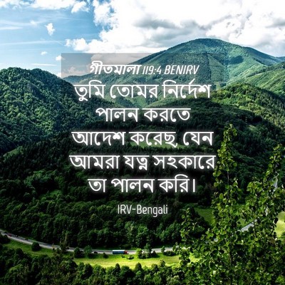 Picture 04 - গীতমালা 119:4 BENIRV - তুমি তোমর নির্দেশ - Bible Verse Picture