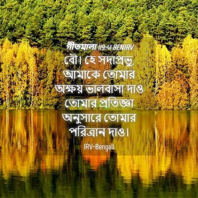 Picture 04 - গীতমালা 119:41 BENIRV - বৌ। হে সদাপ্রভুু, - Bible Verse Picture