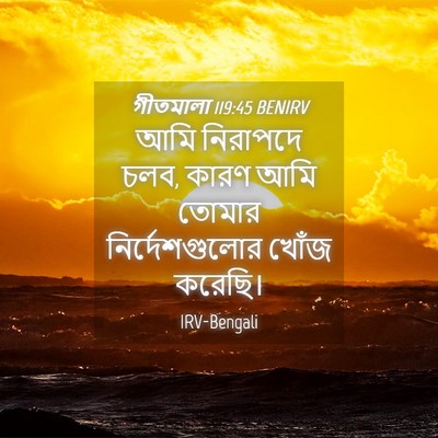 Picture 04 - গীতমালা 119:45 BENIRV - আমি নিরাপদে চলব, - Bible Verse Picture