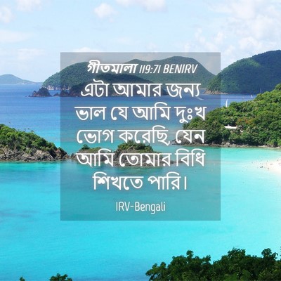 Picture 04 - গীতমালা 119:71 BENIRV - এটা আমার জন্য ভাল - Bible Verse Picture