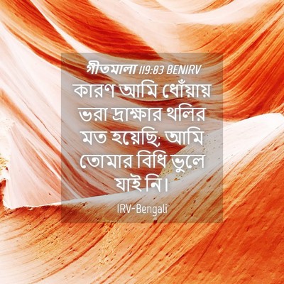 Picture 04 - গীতমালা 119:83 BENIRV - কারণ আমি ধোঁয়ায় - Bible Verse Picture
