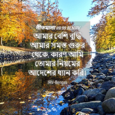 Picture 04 - গীতমালা 119:99 BENIRV - আমার বেশি বুদ্ধি - Bible Verse Picture