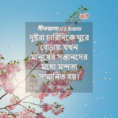 Picture 04 - গীতমালা 12:8 BENIRV - দুষ্টরা চারিদিকে - Bible Verse Picture