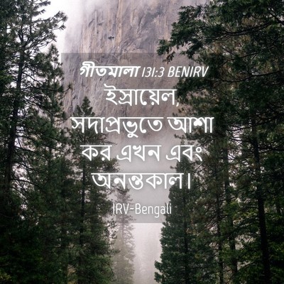 Picture 04 - গীতমালা 131:3 BENIRV - ইস্রায়েল, - Bible Verse Picture