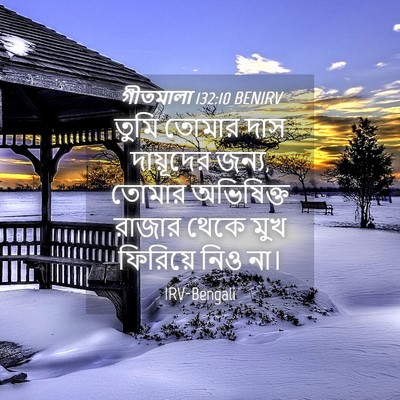 Picture 04 - গীতমালা 132:10 BENIRV - তুমি তোমার দাস - Bible Verse Picture