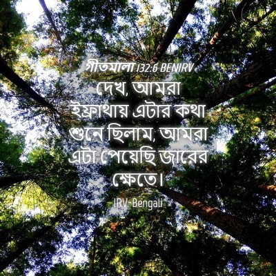Picture 04 - গীতমালা 132:6 BENIRV - দেখ, আমরা - Bible Verse Picture