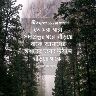 Picture 04 - গীতমালা 135:2 BENIRV - তোমরা, যারা - Bible Verse Picture