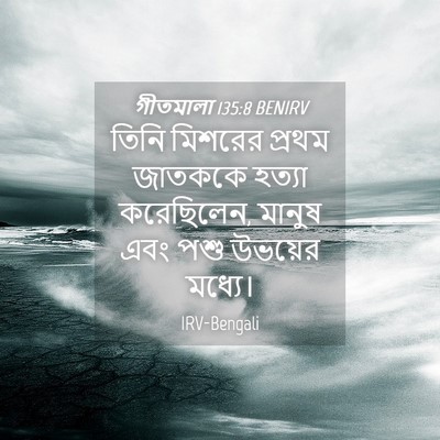 Picture 04 - গীতমালা 135:8 BENIRV - তিনি মিশরের প্রথম - Bible Verse Picture