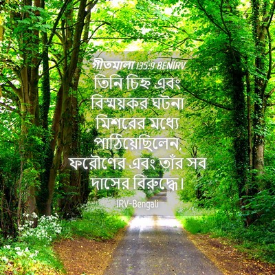 Picture 04 - গীতমালা 135:9 BENIRV - তিনি চিহ্ন এবং - Bible Verse Picture