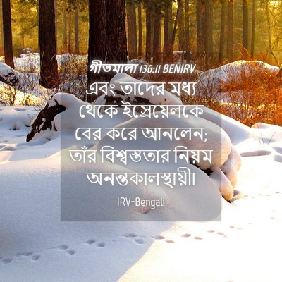 Picture 04 - গীতমালা 136:11 BENIRV - এবং তাদের মধ্য - Bible Verse Picture