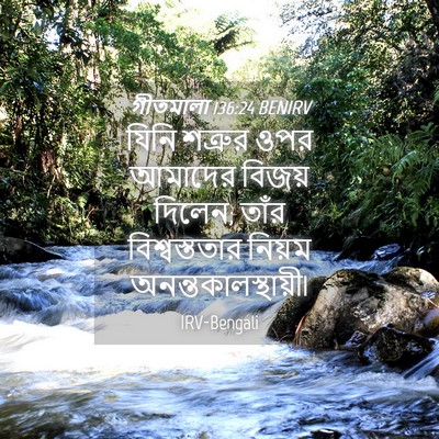 Picture 04 - গীতমালা 136:24 BENIRV - যিনি শত্রুর ওপর - Bible Verse Picture