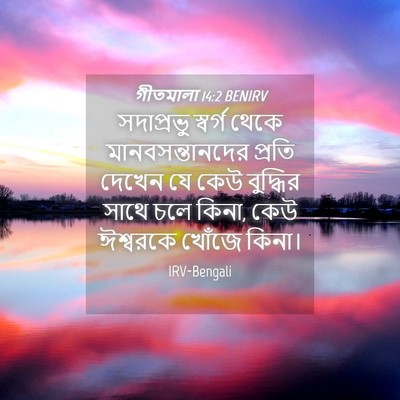 Picture 04 - গীতমালা 14:2 BENIRV - সদাপ্রভুু স্বর্গ - Bible Verse Picture