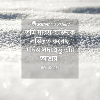 Picture 04 - গীতমালা 14:6 BENIRV - তুমি দরিদ্র - Bible Verse Picture