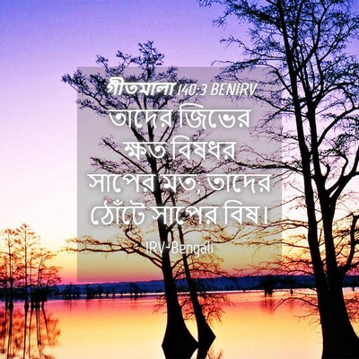 Picture 04 - গীতমালা 140:3 BENIRV - তাদের জিভের ক্ষত - Bible Verse Picture