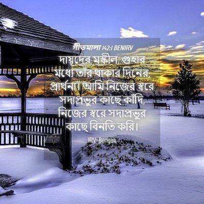 Picture 04 - গীতমালা 142:1 BENIRV - দায়ূদের মস্কীল, - Bible Verse Picture