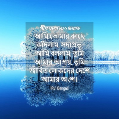 Picture 04 - গীতমালা 142:5 BENIRV - আমি তোমার কাছে - Bible Verse Picture