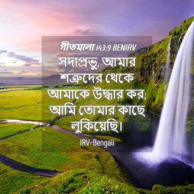 Picture 04 - গীতমালা 143:9 BENIRV - সদাপ্রভুু, আমার - Bible Verse Picture