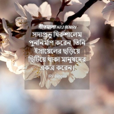 Picture 04 - গীতমালা 147:2 BENIRV - সদাপ্রভুু - Bible Verse Picture
