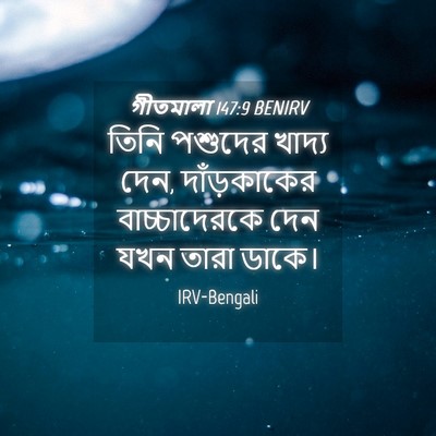 Picture 04 - গীতমালা 147:9 BENIRV - তিনি পশুদের খাদ্য - Bible Verse Picture