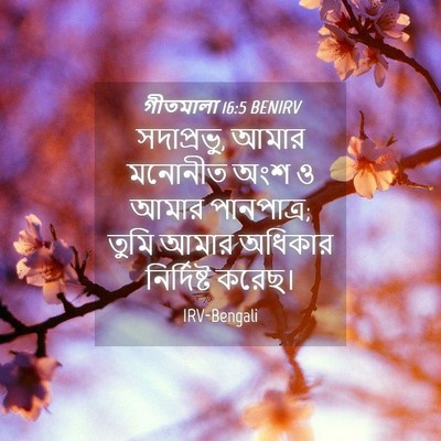 Picture 04 - গীতমালা 16:5 BENIRV - সদাপ্রভুু, আমার - Bible Verse Picture