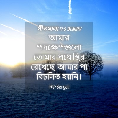 Picture 04 - গীতমালা 17:5 BENIRV - আমার পদক্ষেপগুলো - Bible Verse Picture