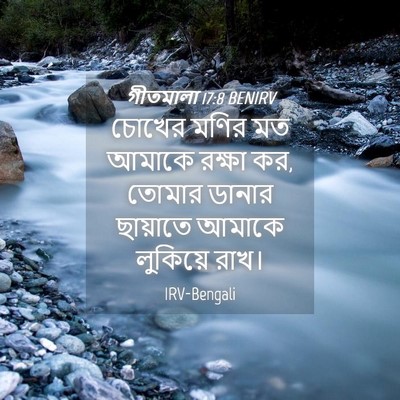 Picture 04 - গীতমালা 17:8 BENIRV - চোখের মণির মত - Bible Verse Picture
