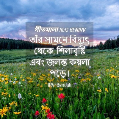 Picture 04 - গীতমালা 18:12 BENIRV - তাঁর সামনে - Bible Verse Picture