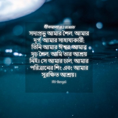 Picture 04 - গীতমালা 18:2 BENIRV - সদাপ্রভুু আমার - Bible Verse Picture